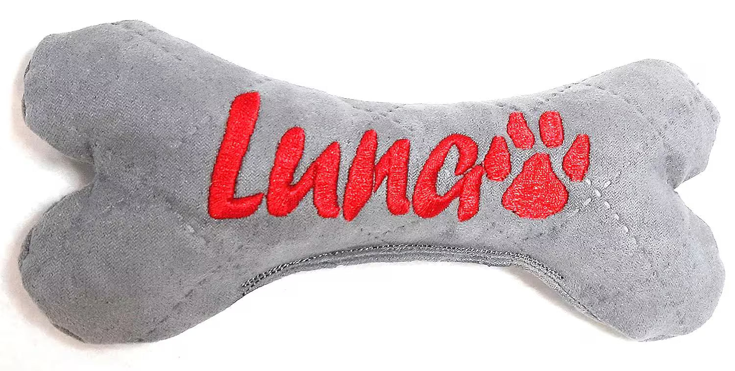 Hundespielzeug Knochen personalisiert, bestickt